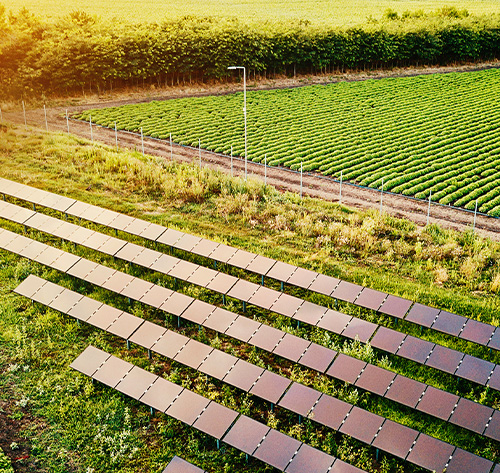 Sustainable Investing